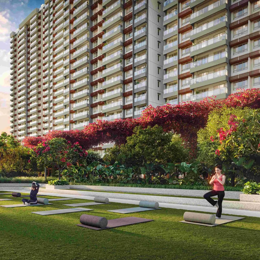 A yoga lawn by the towers, under flowering trees